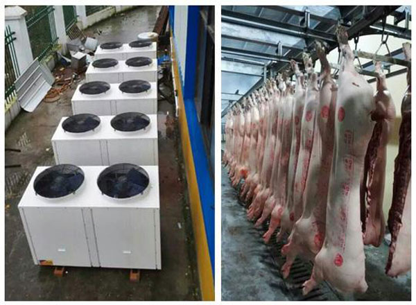 屠宰場高溫?zé)崴鉀Q方案